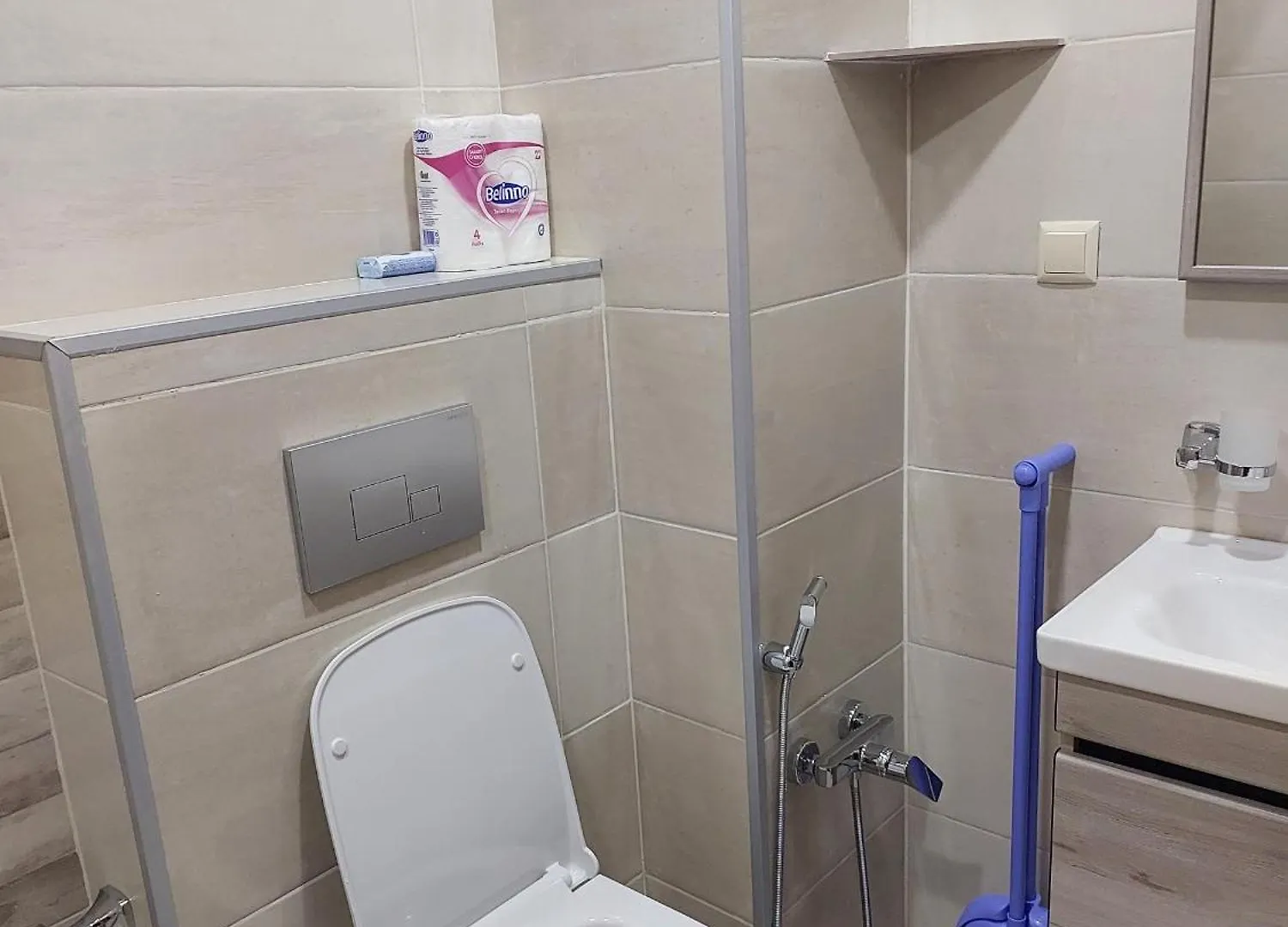 Irma Apartment Gruzja